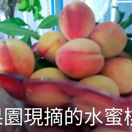 Taitung Linyuan B&B Донгхе Екстериор снимка