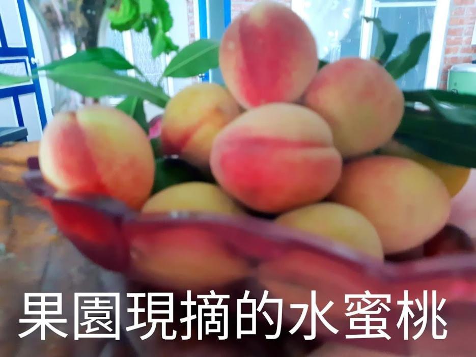 Taitung Linyuan B&B Донгхе Екстериор снимка