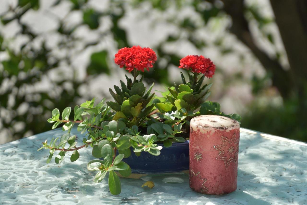 Taitung Linyuan B&B Донгхе Екстериор снимка