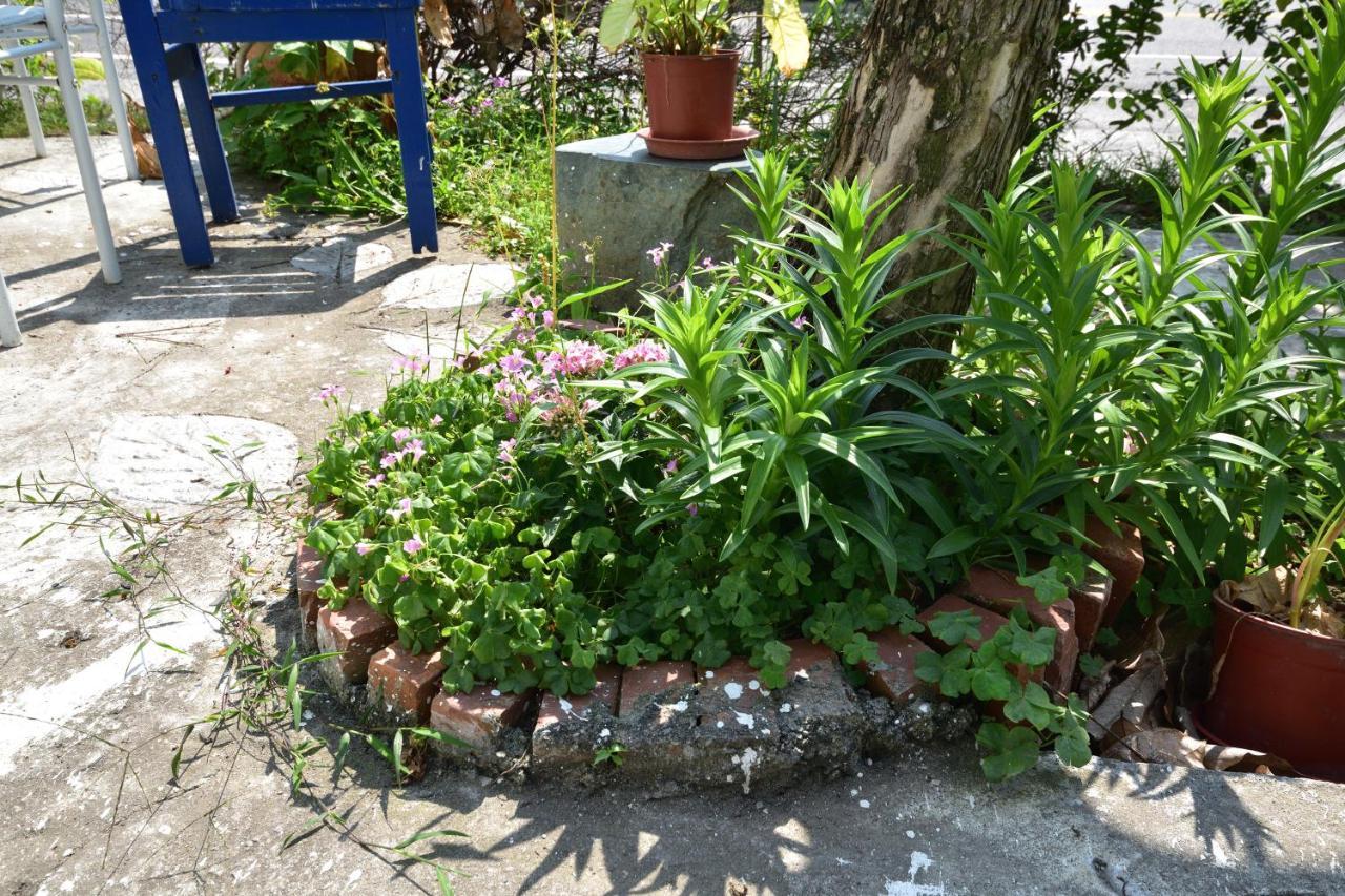 Taitung Linyuan B&B Донгхе Екстериор снимка